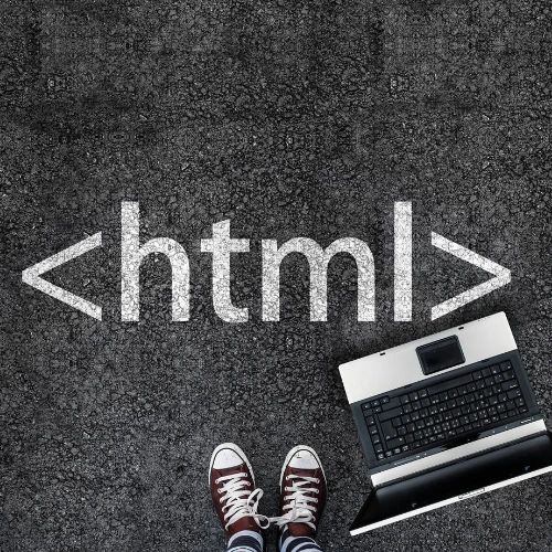 Web Dev Management