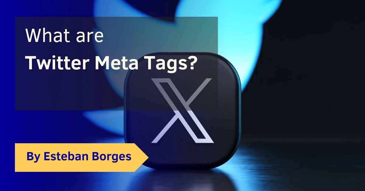 What are Twitter Meta Tags?