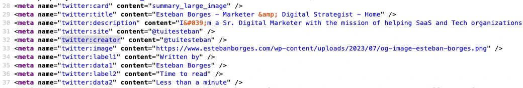 Twitter Meta Tags showing within the HTML code of this website.